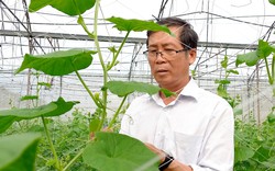 Nông dân Việt Nam xuất sắc 2022 đến từ huyện nông thôn mới TP HCM, là người làm hạt giống bằng trái tim