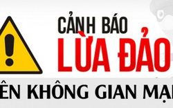 Giả danh chuyên gia chứng khoán để lừa đảo, chiếm đoạt tài sản