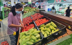 TP.HCM kiểm tra tình trạng mua rau chợ đầu mối, dán nhãn VietGAP rồi bán cho siêu thị