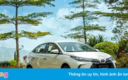Toyota Vios đã phát triển ra sao ở thị trường Việt?