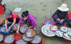 Ghé chợ hải sản tươi rói bên bờ biển Đà Nẵng lúc bình minh