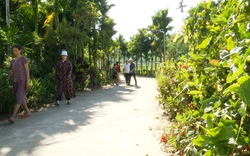 Quảng Nam: Hội Nông dân huyện Tiên Phước chung tay xây dựng cụm dân cư nông thôn mới kiểu mẫu