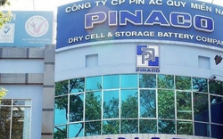 Pinaco (PNC) bị phạt và truy thu thuế gần 3,4 tỷ đồng