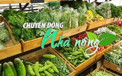 Chuyển động Nhà nông 24/9: Đề nghị thanh tra đột xuất nếu có dấu hiệu tuồn rau sạch "dởm" vào siêu thị