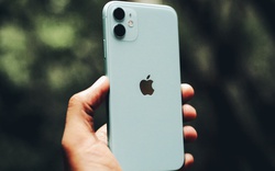 iPhone 11 giảm giá cực sâu, chỉ còn hơn 10 triệu đồng