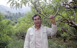Nông dân Việt Nam xuất sắc 2022 đến từ Lào Cai là tỷ phú trồng thứ cây cảnh báo hiệu mùa xuân tới