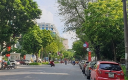 Ký ức Hà Nội: Thủ đô rợp bóng cây xanh