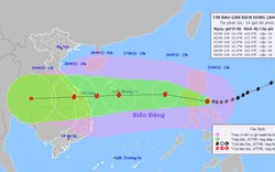 Bão Noru mạnh nhất trong 20 năm qua đổ bộ vào Trung Trung Bộ, Thủ tướng Chính phủ chỉ đạo khẩn 