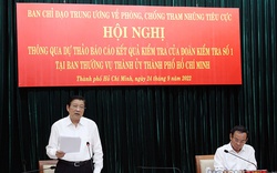 Trưởng Ban Nội chính T.Ư: TP.HCM cần xử lý nghiêm trường hợp né tránh giám định, định giá tài sản trong án tham nhũng