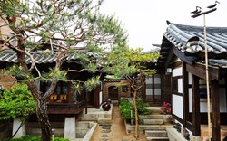 "Nhà một tầng" truyền thống trở thành điểm "nóng" du lịch tại Hàn Quốc thế nào?