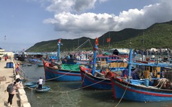 Bão Noru: Khánh Hòa thực hiện cấm biển vào 14h ngày 27/9