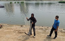 Vụ câu cá có thưởng trái phép ở hồ công ích: Câu cá trái phép vẫn diễn ra ở hồ Đầm Sòi, Định Công