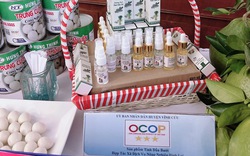 Đồng Nai: 100 sản phẩm OCOP được công nhận, nâng cao giá trị cạnh tranh