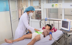 Ninh Thuận: Xuất hiện nhiều ổ dịch sốt xuất huyết, số ca mắc tăng gần 5 lần so với cùng kỳ