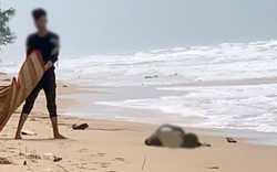 Phát hiện nhiều thi thể đang phân hủy trôi dạt vào bờ biển ở Phú Quốc
