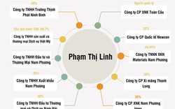 [Biz Insider] Hé mở hệ sinh thái các doanh nghiệp họ “Nam Phương” của vợ chồng đại gia Đỗ Hoàng Phúc