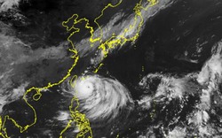 Nhật Bản hủy hàng loạt chuyến bay, sơ tán người dân vì siêu bão