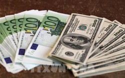 Đồng euro giảm xuống mức thấp nhất so với đồng USD trong 20 năm