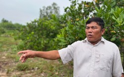 Nông dân Việt Nam xuất sắc 2022 đến từ Bình Định là người trồng thành công cây công nghiệp trên đất cát
