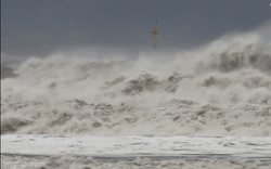 Video: Hình ảnh siêu bão Hinnamnor "quần thảo" Hàn Quốc, 1 người bị mất tích