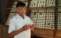 Tỷ phú nông dân nuôi vịt đẻ, ấp trứng vịt lộn ở Bắc Giang được bình chọn là Nông dân Việt Nam xuất sắc 2022