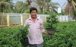 Chặt bỏ vườn chôm chôm trồng cây cảnh báo mùa Xuân về, một người Bến Tre là Nông dân Việt Nam xuất sắc 2022