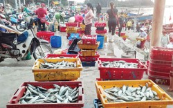 Chợ quê "nhất làng, nhất xã" ở Thừa Thiên Huế, một ngày họp tới 3 phiên, trên trời dưới cá tôm