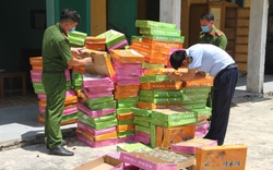 Thu giữ hàng chục nghìn chiếc bánh trung thu không rõ nguồn gốc tại Hưng Yên