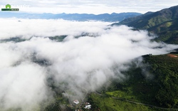 Clip: Điểm “săn mây” vạn người mê ở Khánh Hòa