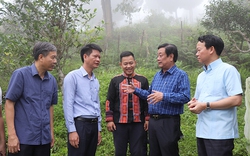 Bộ trưởng Lê Minh Hoan: "Bi kịch của người sản xuất" vì có quá nhiều sản phẩm tương đồng