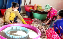 Làng khô cá những ngày giáp Tết: Người làm nghề tiết lộ bí quyết khô cá "chín" đẹp, thơm ngon 
