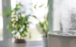 Mùi thơm nhân tạo ảnh hưởng đến chất lượng không khí trong nhà