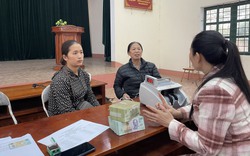 Hội Nông dân tỉnh Thái Nguyên giải ngân 700 triệu đồng Quỹ Hỗ trợ nông dân cho 14 hộ sản xuất chè
