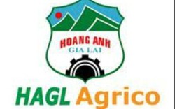 Nông nghiệp Quốc tế Hoàng Anh Gia Lai (HNG) xin gia hạn thời gian nộp Báo cáo tài chính quý IV