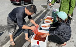 Chuyện hiếm gặp ngày ông Công, ông Táo: Thu gom toàn bộ cá vàng thả xuống hồ Tây