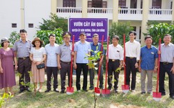Đoàn Đại biểu tỉnh Lâm Đồng tặng 700 cây xanh và cây ăn quả