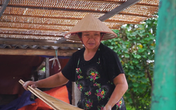 Đặc sản tết Lai Châu-miến dong Bình Lư thơm ngon làm đến đâu thương lái "khuân" đi hết