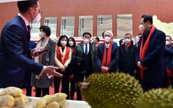 Lần đầu tiên, Việt Nam mang sầu riêng đến giới thiệu ở một thành phố của Trung Quốc