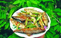 Vùng này ở Quảng Nam, dân làm mâm cơm tất niên cúng ông bà tổ tiên có món ngon từ loài cá niên đặc sản