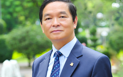 Ông Lê Viết Hải tiếp tục làm chủ tịch hợp pháp của Tập đoàn Xây dựng Hòa Bình