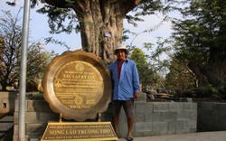 Tết Quý Mão 2023, điểm lại loạt siêu cây cảnh xác lập kỷ lục Việt Nam khiến dư luận xôn xao