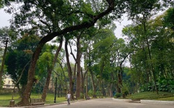 Điều ít biết về công viên được mệnh danh là “lá phổi xanh” của Hà Nội