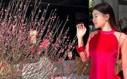 WAGs Việt diện đẹp chơi Tết: Yến Xuân, vợ Quế Ngọc Hải nổi bật