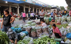 Hàng nghìn tấn rau củ, hoa quả đổ về các chợ đầu mối xuyên Tết