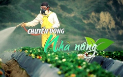 Chuyển động Nhà nông 26/1: EU ra quy định mới về ngưỡng dư lượng một số chất trên thực phẩm