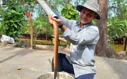 Về rừng U Minh Hạ, đặt trúm lươn, thưởng thức món quê dân dã