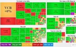 Chứng khoán bừng sắc xanh phiên đầu xuân Quý Mão