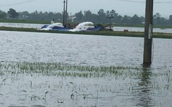 TT-Huế: Mưa lớn kéo dài khiến hàng nghìn ha lúa ngập úng, nguy cơ mất trắng