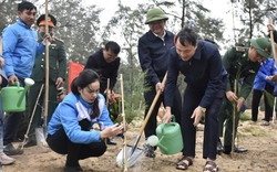 Tuổi trẻ Hà Tĩnh hưởng ứng Tết trồng cây, ra quân trồng mới hơn 100.000 cây xanh