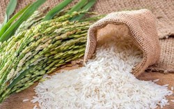 Đến lượt gạo Ấn Độ tăng vọt, giá gạo Việt chờ bứt phá